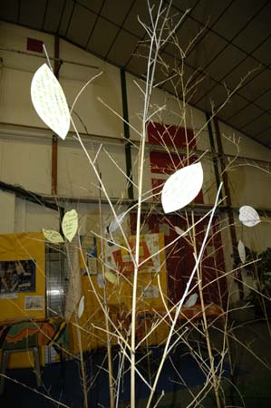 2-06-05- 017